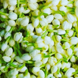 Jasmine Sambac flowers give the face oil it's heavenly aroma along with mandarin and bergamot organic essential oils